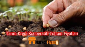 Tarım Kredi Kooperatifi Tohum Fiyatları 6 Tarım Kredi Kooperatifi Tohum Fiyatları