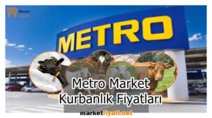 Metro Market Kurbanlık Fiyatları 1 Metro Market Kurbanlik Fiyatlari
