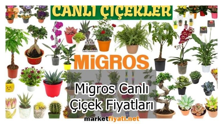 Migros Canlı Çiçek Fiyatları