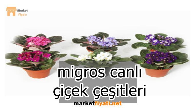 migros canlı çiçek çeşitleri