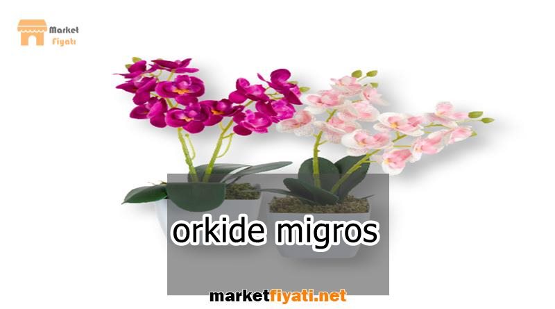 orkide migros