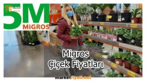 Migros Çiçek Fiyatları