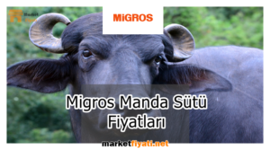 Migros Manda Sütü Fiyatları