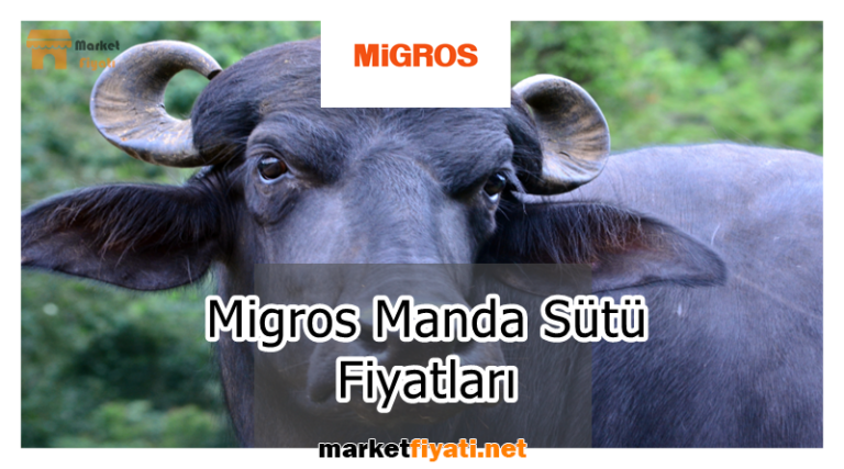 Migros Manda Sütü Fiyatları 13 Migros Manda Sütü Fiyatları