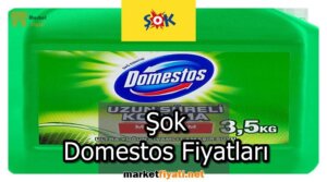 Sok Domestos Fiyatlari