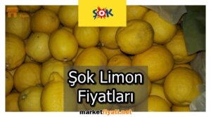Şok Limon Fiyatları
