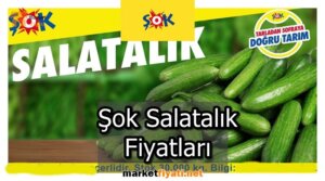Şok Salatalık Fiyatları