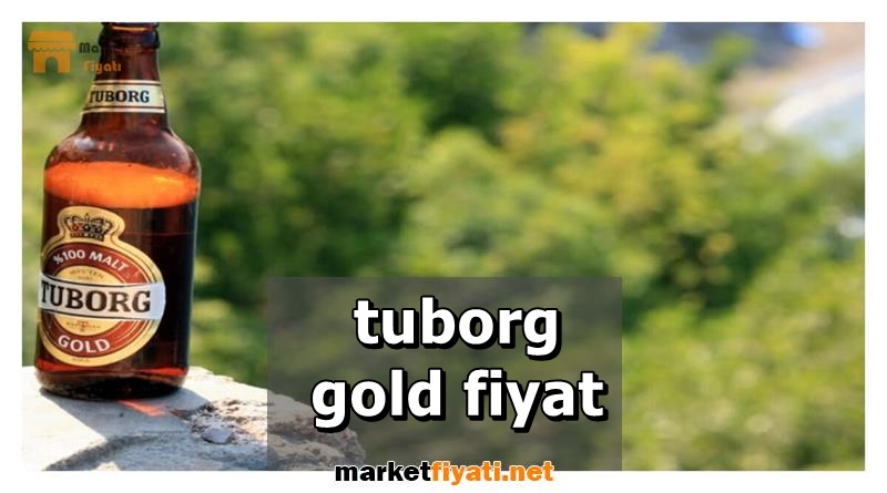 tuborg gold fiyat