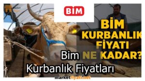 Bim Kurbanlik Fiyatlari