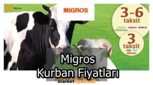 Migros Kurban Fiyatları