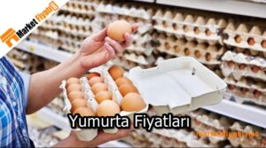 Yumurta Fiyatları